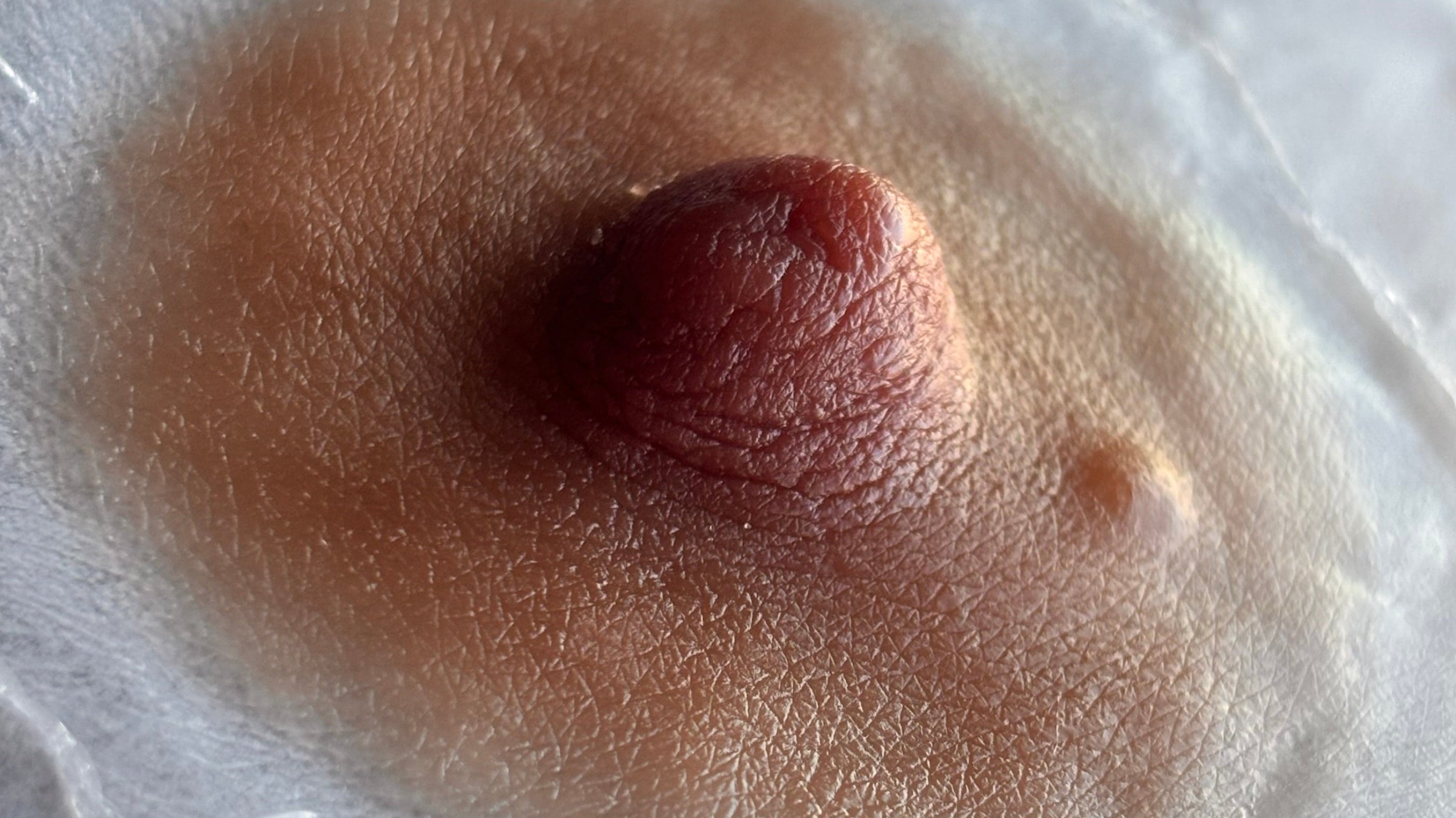 Custom Silicone Areola & Nipple Prosthetic Medium Skin tone