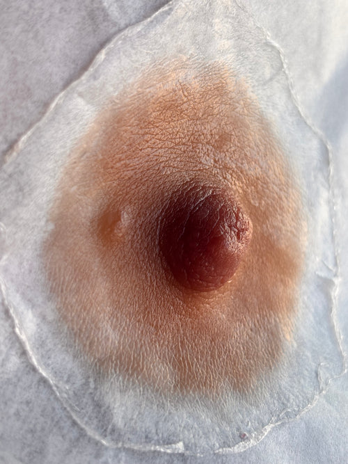 Custom Silicone Areola & Nipple Prosthetic Medium Skin tone